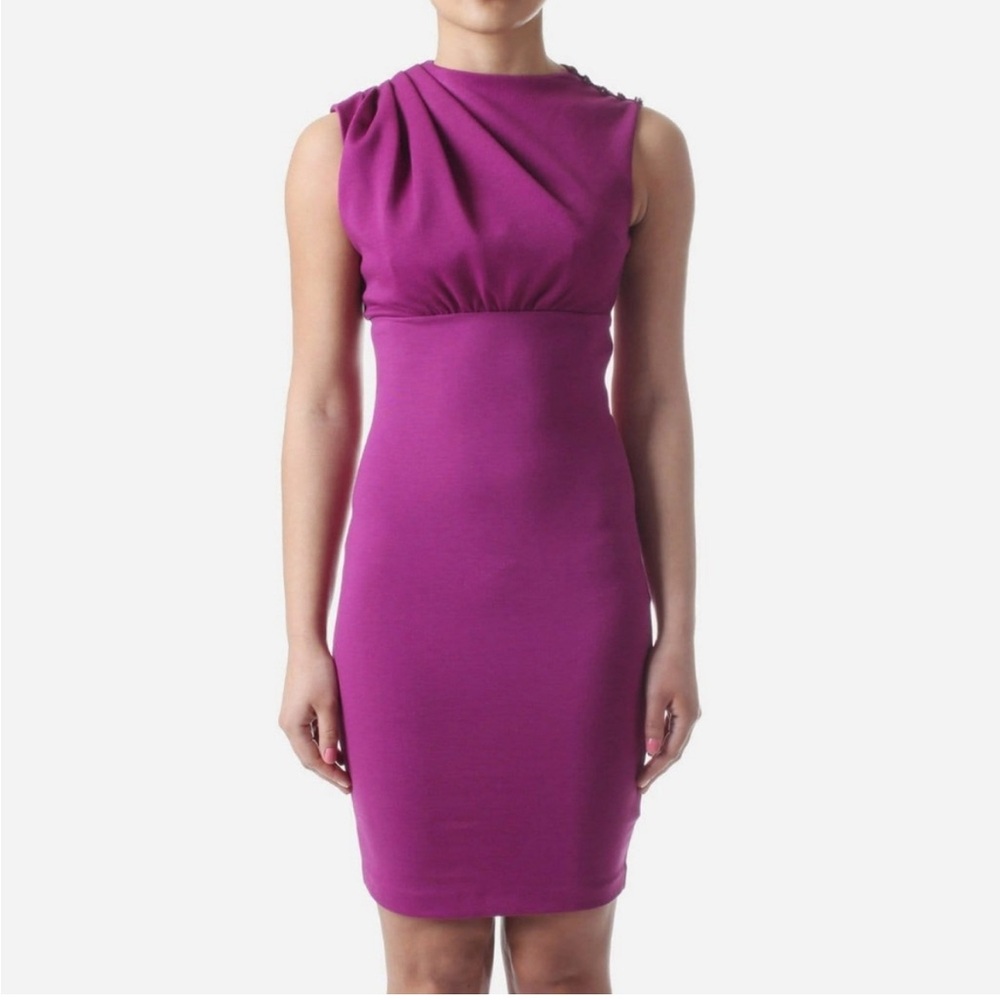 Ted Baker Bridie Dress is Plum